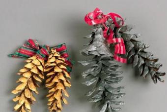 От новогоднего декора до баночки варенья, или что можно сделать из обыкновенных шишек