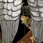 How to make angel wings with your own hands, master class, from paper, from isolon, from fabric