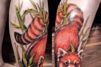 El significado de un tatuaje de panda o qué significa un tatuaje de panda