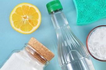 Reinigungsmittel Zum Geschirrspülen verwenden wir Ton, Soda, Senf