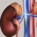 Tratamento de doenças das glândulas supra-renais remédios populares