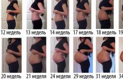 Photos par semaines, avis de femmes enceintes