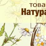 Ostropestřecový olej: Vlastnosti a použití Jak extrahovat semena z květních růžiček ostropestřce mariánského